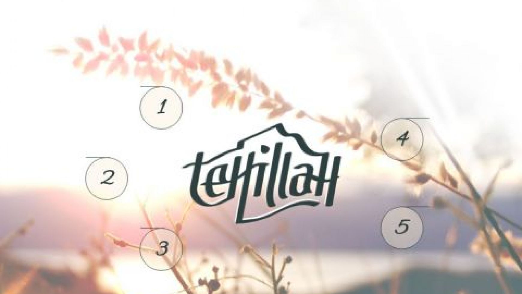 Zespół Tehillah – nowa strona www